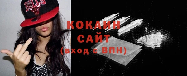 молекула духа Медногорск