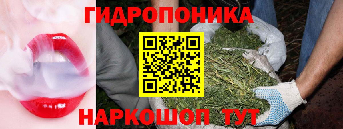 Шишки марихуана планчик Усть-Кут